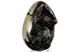 Septarian Dragon Egg Geode - Sparkly Black Crystals #308804-1